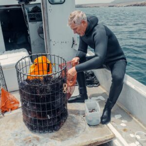 GREENLAND HALIBUT