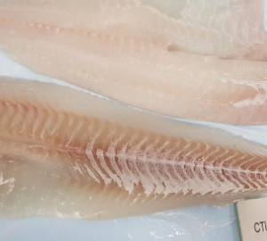 Fresh Frozen Pollock