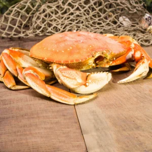 Dungeness Crab Meat