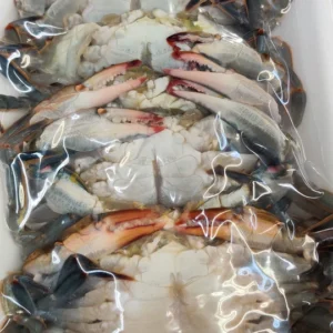 Chesapeake Soft Shell Crabs