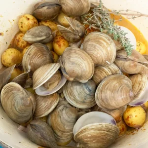 Cedar Key Clams