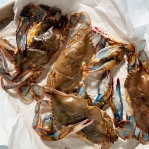 Chesapeake Soft Shell Crabs