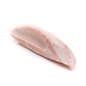 Frozen Albacore Tuna Loins