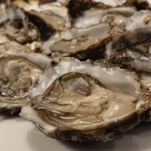 Shucked Atlantic Oysters