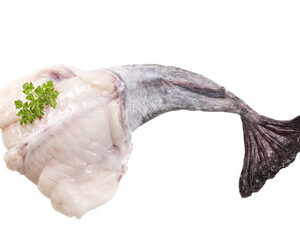 Fresh Monkfish