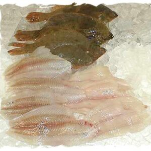 Fresh Flounder Fillet